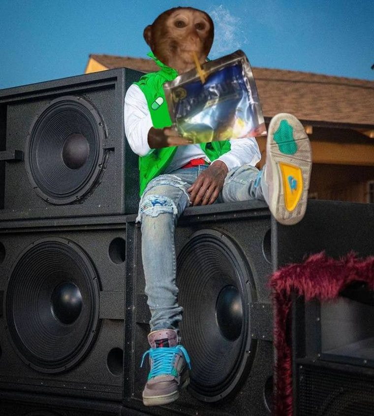 The monkey sat on a stack of speakers